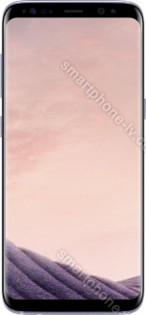 Samsung Galaxy S8 G950F grey 