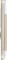 Nokia C3-00 golden white