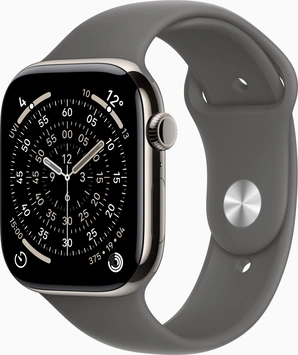 Apple Watch Series 11 (GPS + cellular) 46mm Titan natural with sport wristlet M/L stone grey