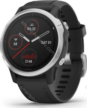 Garmin Fenix 6S black/silver 