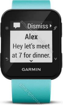 Garmin Forerunner 35 frost blue 