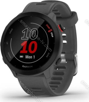 Garmin Forerunner 55 monterra grey 
