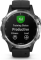 Garmin Fenix 5 Plus silver/black 
