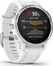Garmin Fenix 6S white