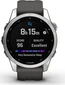 Garmin Fenix 7S silver/graphite