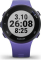 Garmin Forerunner 45S iris 