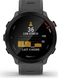 Garmin Forerunner 55 monterra grey