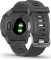 Garmin Forerunner 55 monterra grey 