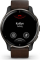 Garmin Venu 2 Plus cream slate/slate brown 