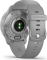 Garmin Venu 2 Plus silver/powder grey 