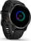Garmin Venu 2 Plus slate/black 