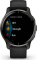 Garmin Venu 2 Plus slate/black 