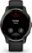 Garmin Venu 2 Plus slate/black 