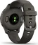 Garmin Venu 2S graphite/slate
