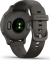 Garmin Venu 2S graphite/slate 