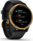 Garmin Venu black/gold 