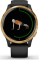 Garmin Venu black/gold 