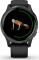 Garmin Venu black/slate 