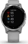 Garmin vivoactive 4S powder grey/silver