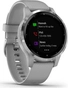Garmin vivoactive 4S powder grey/silver