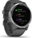 Garmin vivoactive 4 shadow grey/silver
