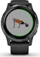 Garmin vivoactive 4 black/slate