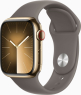 Apple Watch Series 9 (GPS + cellular) 41mm stainless steel gold w...