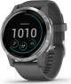 Garmin vivoactive 4 shadow grey/silver