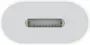 Apple USB-C on Lightning adapter adapter