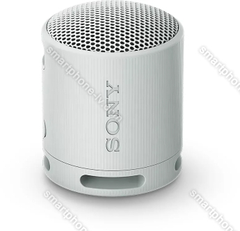 Sony SRS-XB100 grey
