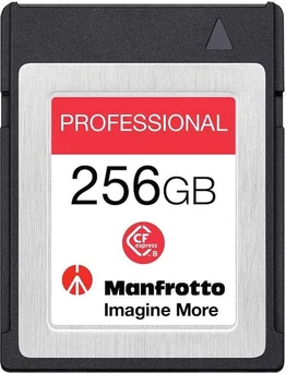 Delkin Manfrotto Professional R1730/W1540 CFexpress 2.0 Type B 256GB