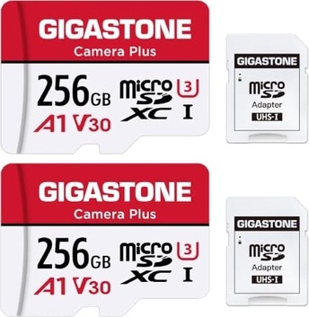 Gigastone Camera Plus R100/W60 microSDXC 256GB Kit, UHS-I U3, A1, Class 10, 2er-Pack