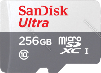 SanDisk Ultra R100 microSDXC 256GB Kit, UHS-I, Class 10