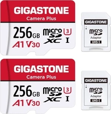 Gigastone Camera Plus R100/W60 microSDXC 256GB Kit, UHS-I U3, A1, Class 10, 2er-Pack