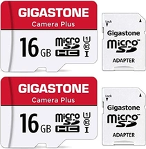 Gigastone Gaming Plus R100/W60 microSDXC 256GB Kit, UHS-I U3, A1, Class 10, 2er-Pack