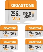 Gigastone R100/W60 microSDXC 256GB Kit, UHS-I U3, Class 10, 5er-Pack