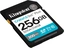 Kingston Canvas Go! Plus Gen4 R200/W160 SDXC 256GB, UHS-I U3, Class 10