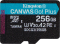 Kingston Canvas Go! Plus R170/W90 microSDXC 256GB Kit, UHS-I U3, A2, Class 10