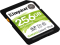 Kingston Canvas Select Plus R100/W85 SDXC 256GB, UHS-I U3, Class 10