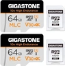 Gigastone 10x High Endurance R100/W65 microSDXC 64GB Kit, UHS-I U3, Class 10, 2er-Pack