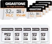 Gigastone 10x High Endurance R95/W60 microSDHC 32GB Kit, UHS-I U3...