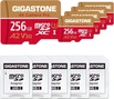 Gigastone 4K Camera Pro R100/W60 microSDXC 256GB Kit, UHS-I U3, A2, Class 10, 5er-Pack