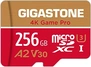 Gigastone 4K Game Pro R100/W60 microSDXC 256GB Kit, UHS-I U3, A2,...