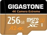 Gigastone 4k Camera Extreme R100/W60 microSDXC 256GB Kit, UHS-I U...