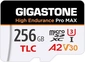 Gigastone High Endurance Pro MAX R160/W130 microSDXC 256GB Kit, U...