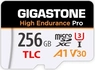 Gigastone High Endurance Pro R100/W60 microSDXC 256GB Kit, UHS-I ...