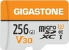 Gigastone R100/W60 microSDXC 256GB Kit, UHS-I U3, Class 10