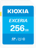 KIOXIA EXCERIA R100 SDXC 256GB, UHS-I U1, Class 10