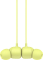 Apple Beats Flex Yuzu Yellow