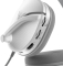 Turtle Beach Recon 200 Gen 2 white